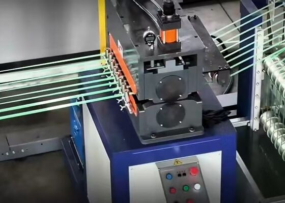 Energieeffiziente und nachhaltige Produktionslinie für Haustierband